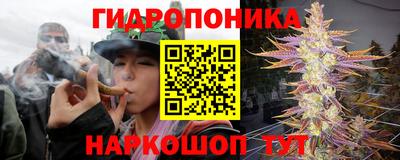дурь Гусев