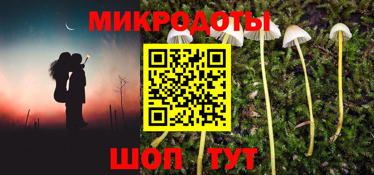 Миллерово  Псилоцибиновые грибы MAGIC MUSHROOMS  Вход с VPN 