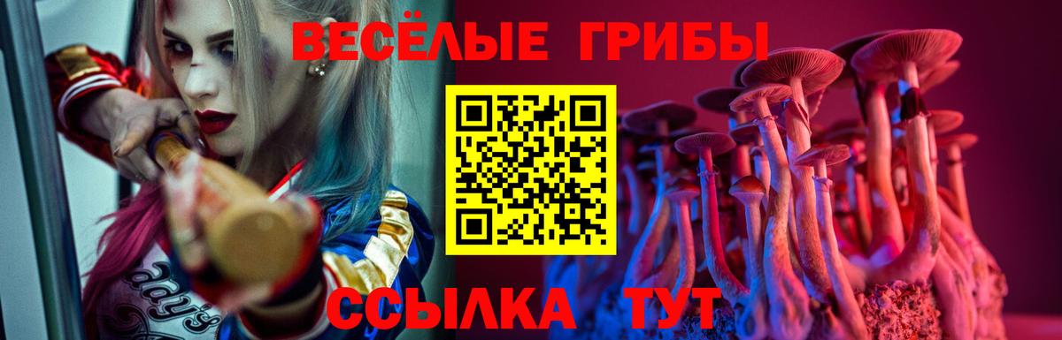 Галлюциногенные грибы Cubensis Миллерово